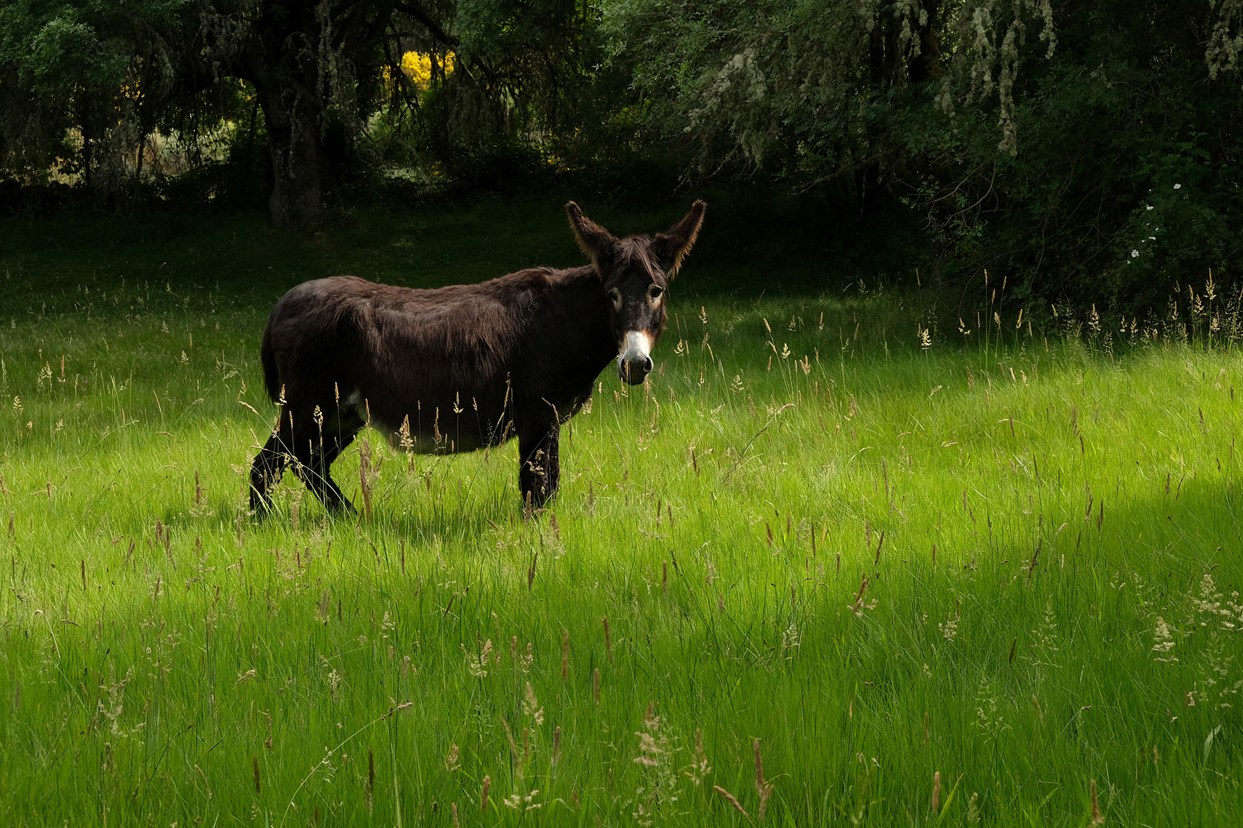 1800_edit_DSCF0603
