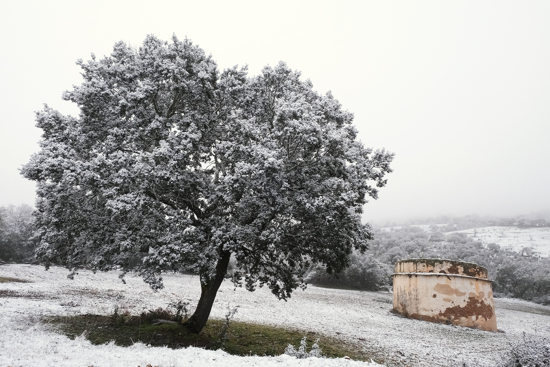 1800_DSCF2939