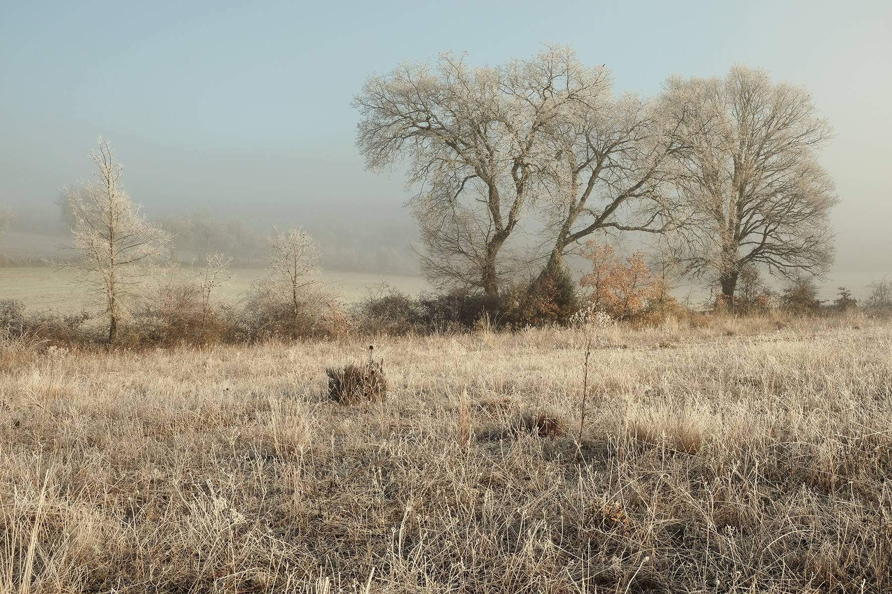 _DSCF3193