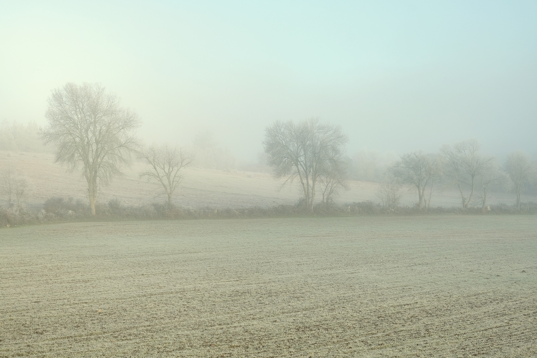 _DSCF3205